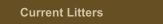 Current Litters